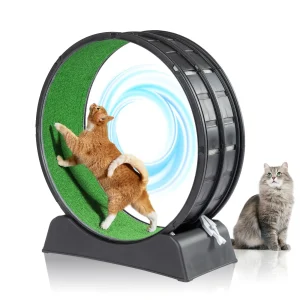 31 Cat Exercise Wheel for indoor Use - Treadmill with Carpeted Runway & Plastic Design for Daily Fitness & Weight Loss