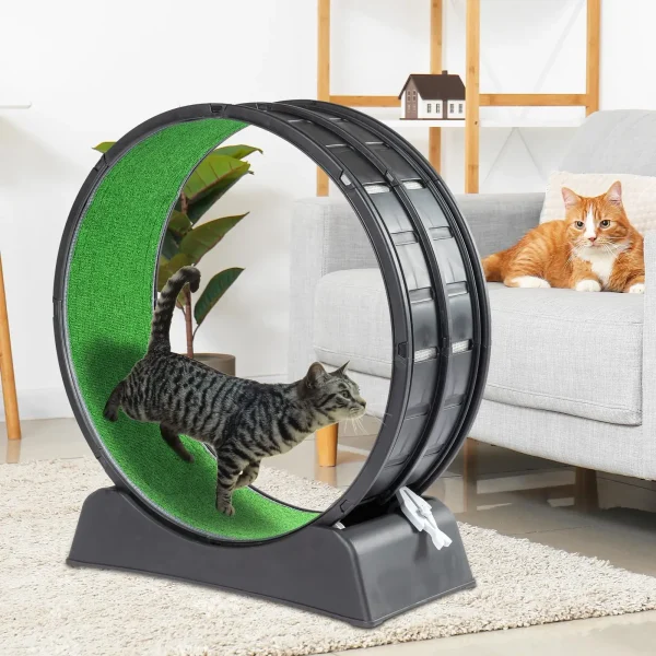 31 Cat Exercise Wheel for indoor Use - Treadmill with Carpeted Runway & Plastic Design for Daily Fitness & Weight Loss - Image 4