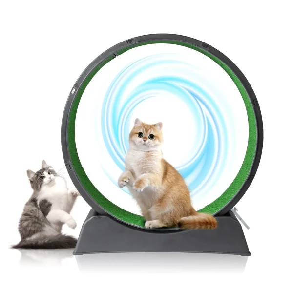 31 Cat Exercise Wheel for indoor Use - Treadmill with Carpeted Runway & Plastic Design for Daily Fitness & Weight Loss - Image 5