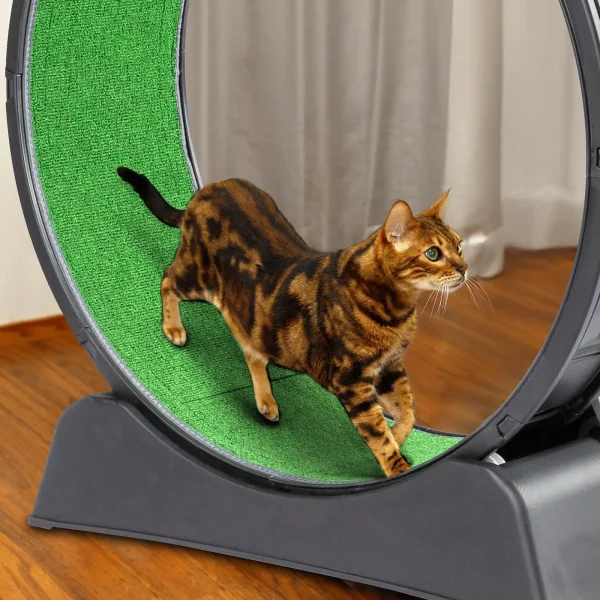 31 Cat Exercise Wheel for indoor Use - Treadmill with Carpeted Runway & Plastic Design for Daily Fitness & Weight Loss - Image 2